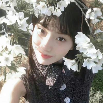 凤皇传